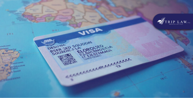 What are the most popular nonimmigrant visas in the USA?