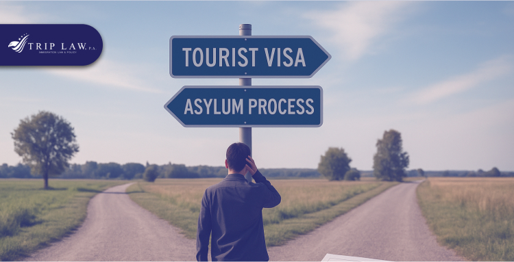 Asylum Application Process