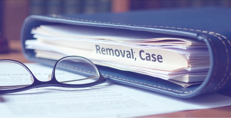 How Public Charge Rules Affect Clients in Removal Cases
