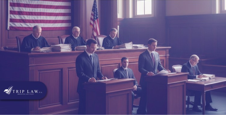 The Role of the BIA and Federal Courts in Deportation Cases
