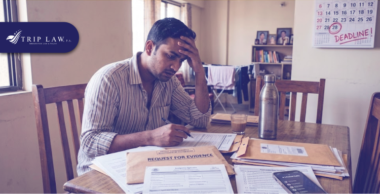 How to Respond to a Request for Evidence (RFE) Without Delaying Your Case